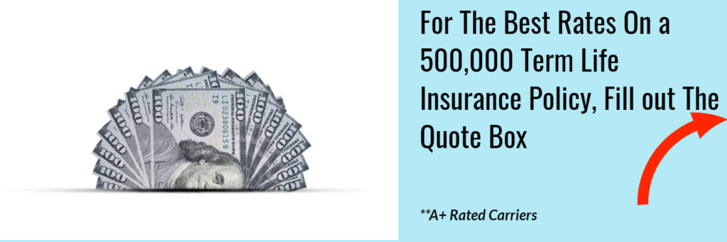 500000 term insurance policy