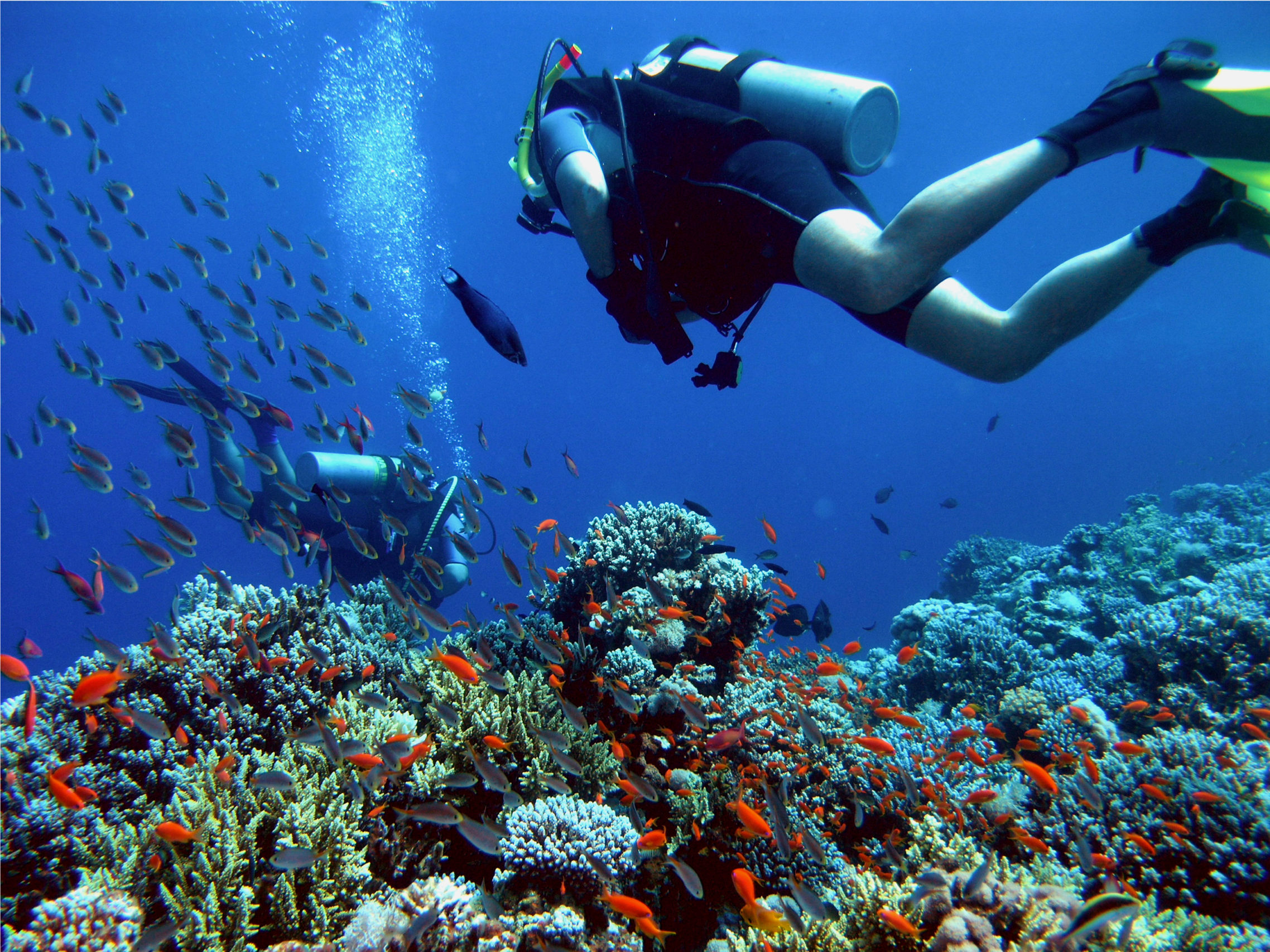 Scuba Diving is High Risk