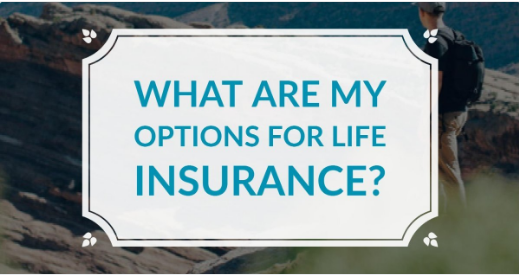 Options for Life Insurance 