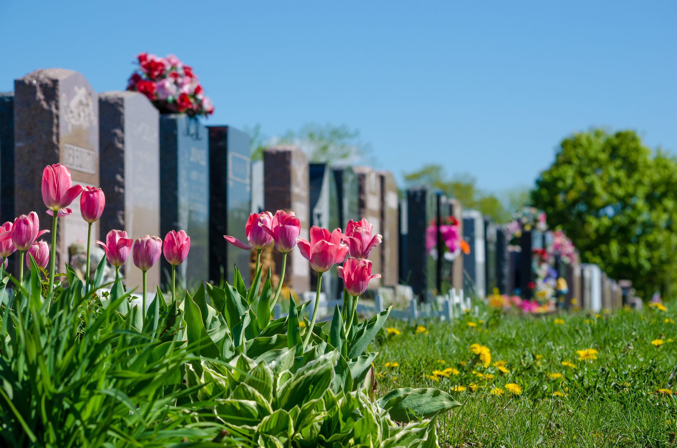 affordable reliable burial insurance