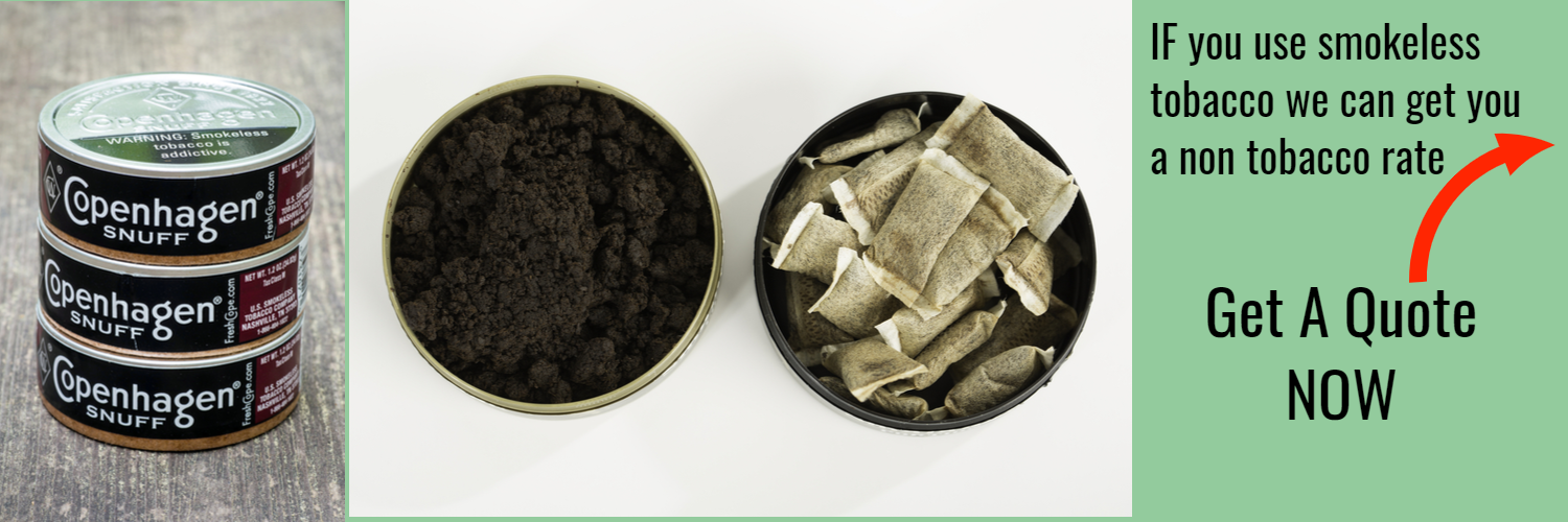 LIFE INSURANCE FOR SMOKELESS TOBACCO USERS PinnacleQuote